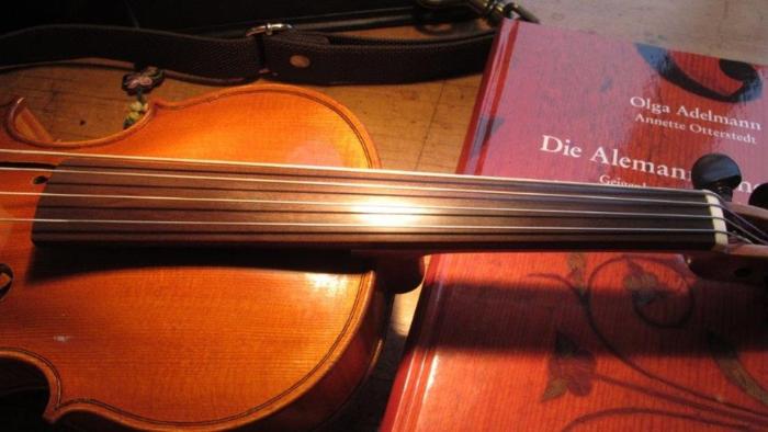 Swiss Wood Solutions Violin Stopperbild.jpg
